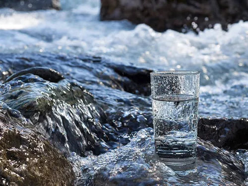 The Essential Guide to Water Purification